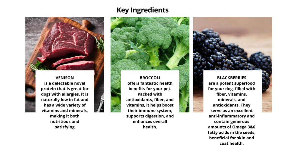Kangaroo pumpkin and blueberries for digestive health and antioxidants