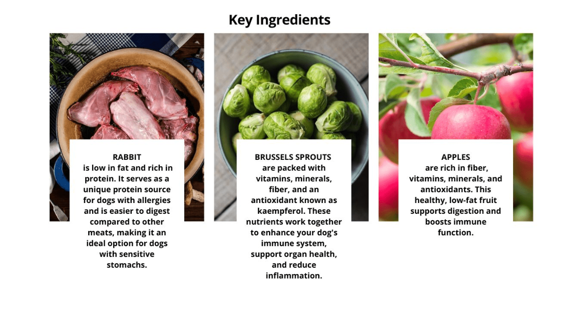 Rabbit apple Brussels sprouts dog treats with superfoods