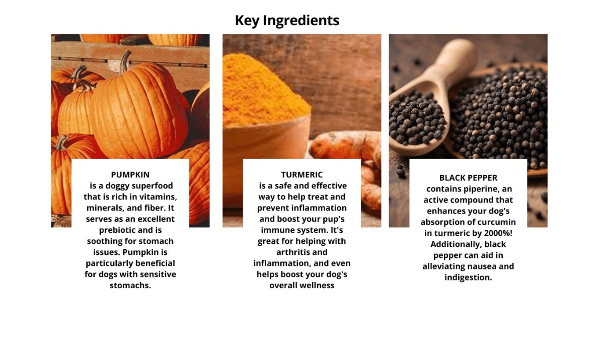 Turmeric pumpkin dog treats with anti-inflammatory benefits
