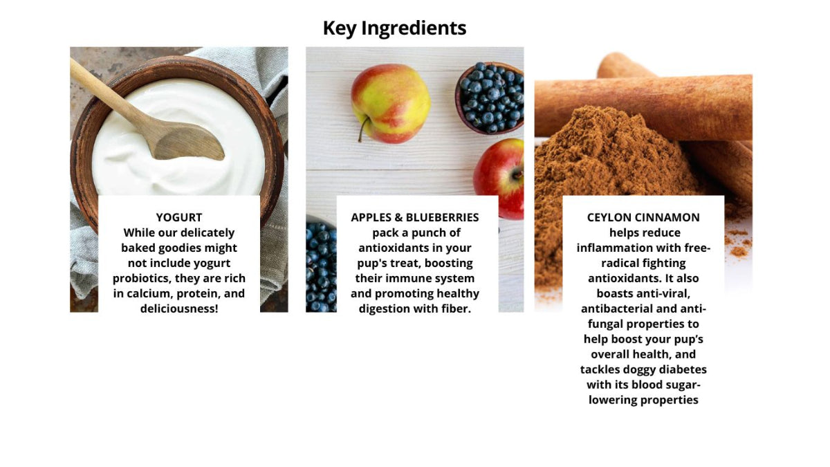Yogurt apples blueberries and cinnamon for digestive health and immunity